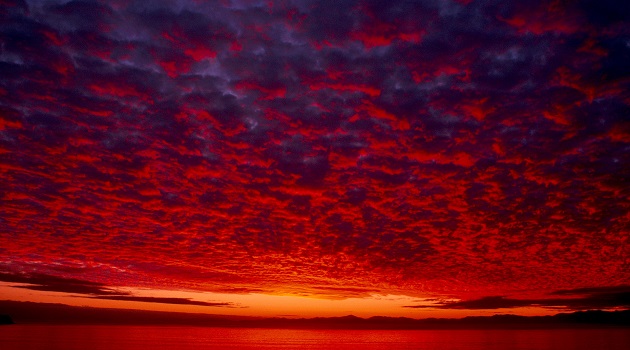 Photo of Okul Bahçesi