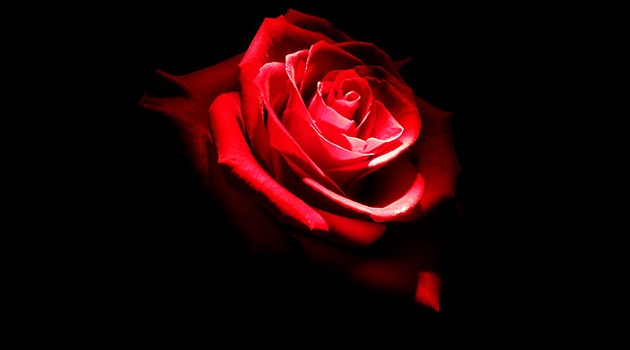 Photo of Ünlü Sözleri