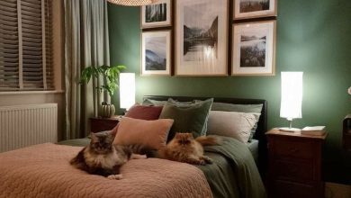 Photo of İlk başlarda hersey mükemmeldi